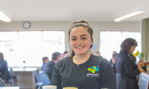 Whitireia Aug 2017 Stock Artwork 47 edit